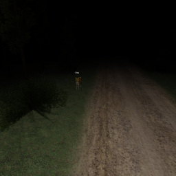 The Forest 2...
