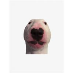 bbaaccoonn ggaanngg