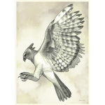 Harpy Studio