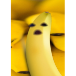 funny fries