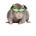 Rats United Spies