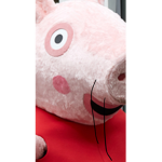 The peppa teamz