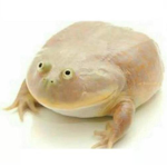 The Meme Guy Army