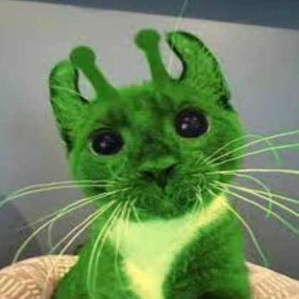 alien kitty 4
