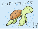 Turtles United go