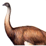 Łøvėłÿ Pęâçhèś