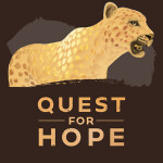 Quest for Hope