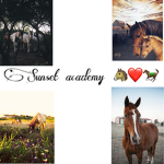 ~sunset sables official group~