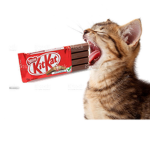 Kit Kat Kult