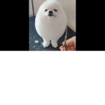 hit miss