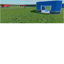 item capture the flag