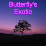 Butterfly's Exotic