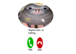 1234_tik0tok fan Group