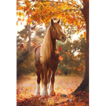 Le horse club