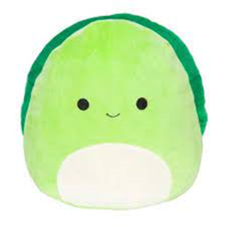 Turtle Obby