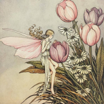 The Fairy Forest