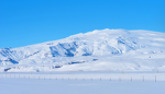 Arctic Gamez
