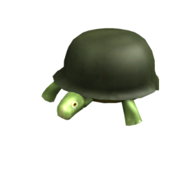 General Turtle Island🐢 🏝️