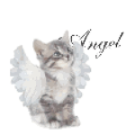 angell wardrobe