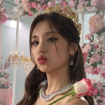 Blinks fan group only (blackpink)