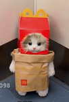 Olaf da kitten
