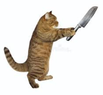__kat bois__
