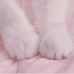αzαуαкα