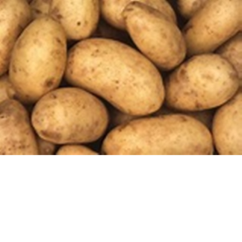 POTATO LAND  TEST