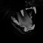 V̶ᴏʟᴛ