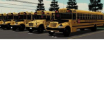Whitefield County Schools Transportation ||