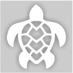#TURTLE SQUAD 4 LIFE