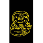 Cobra kai s5 karate