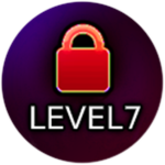 Level 7