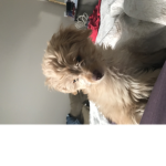 Charlie is a good friend