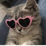 cat2clawz