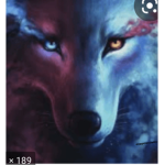 Mr best wolf