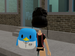 Get cloths for 5 or 10 robux
