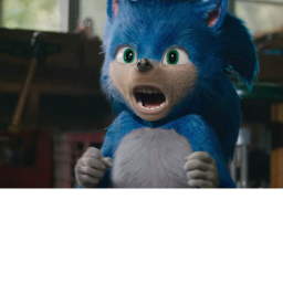 Survial The Sonic The Killer