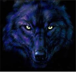 The Fury Wolf Clan