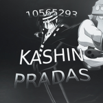 $. KASHINPRADAS .$