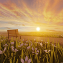 Scenery Experience