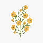Flora Bubbles