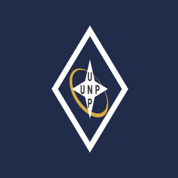 RONWP Security Council