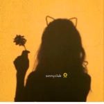 sunny.club