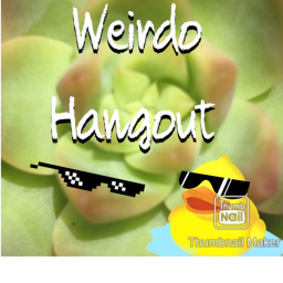 W E I R D O HANGOUT