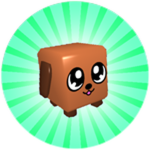 Your First Pet