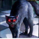 The killercatboy squad