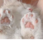 .~.kitty.~.