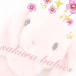 -*+ sᴀᴋᴜʀᴀ ʙᴀʙɪᴇs +*-