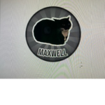 The Maxwell mob